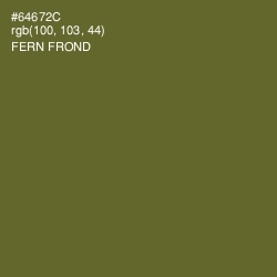 #64672C - Fern Frond Color Image
